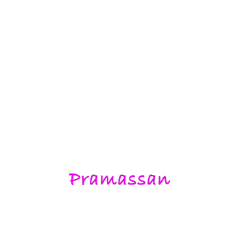 logo_neu_pramassan_pink_trans